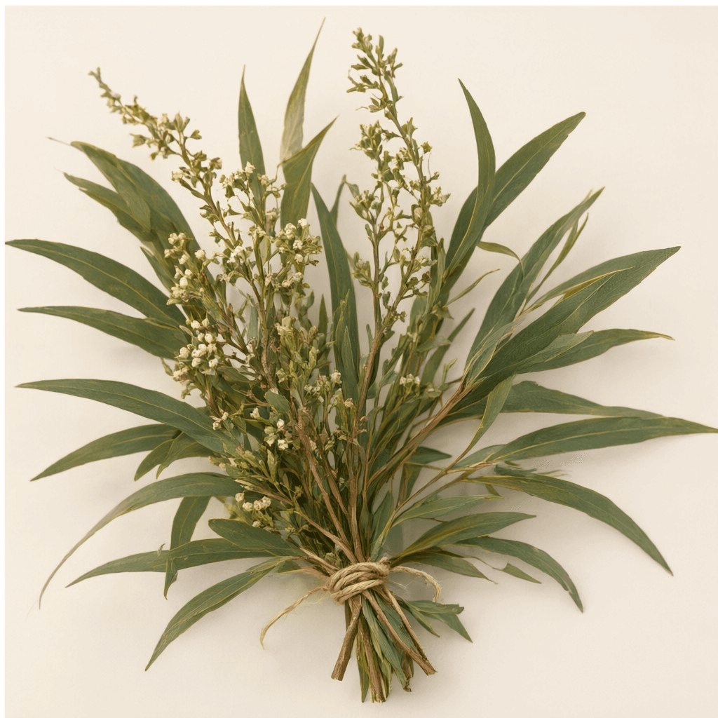 Tea Tree Oil