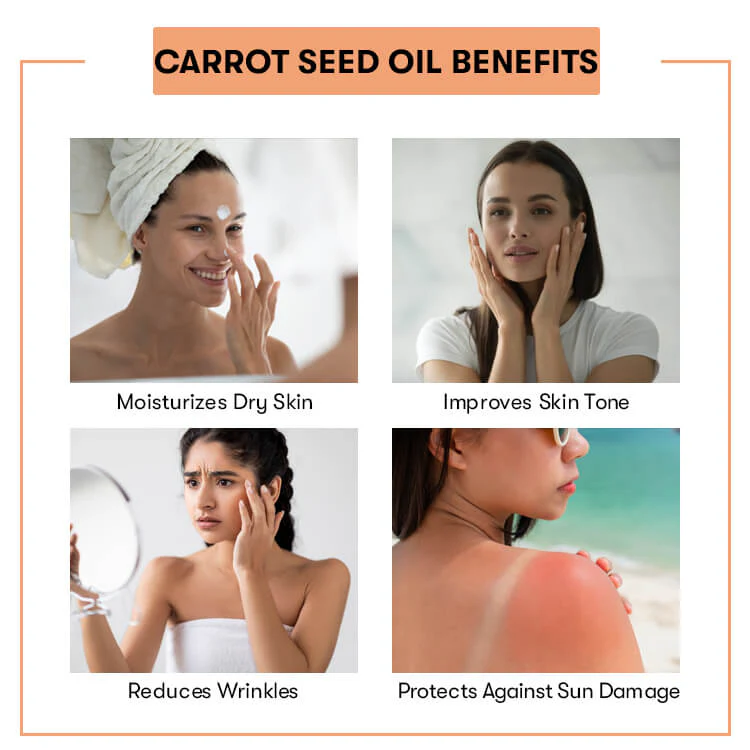 Carrot Seed Oil - Image 3