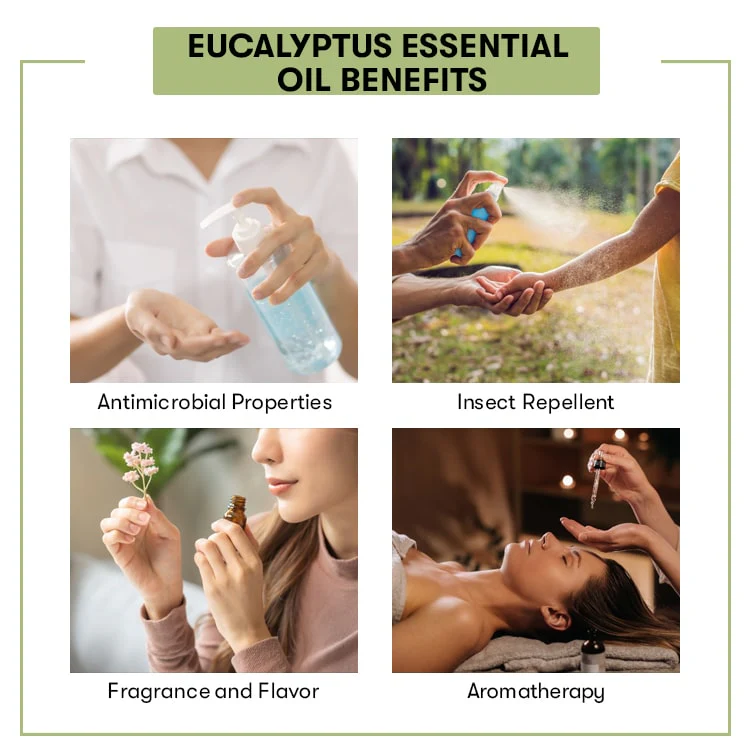 Eucalyptus Oil - Image 3