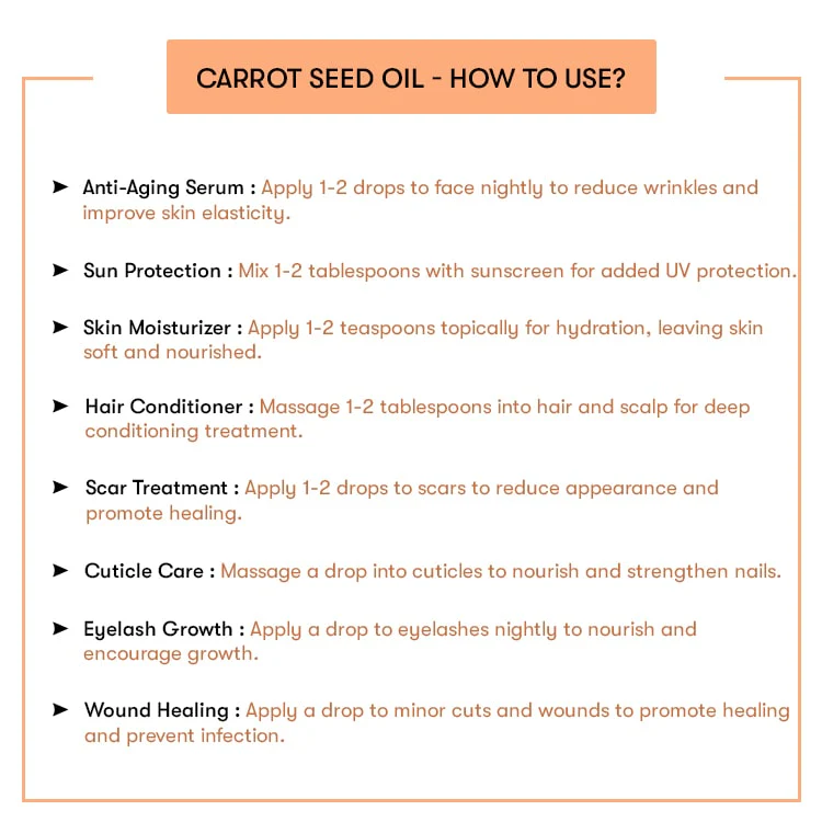 Carrot Seed Oil - Image 4