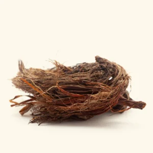 Spikenard Oil (Jatamansi)