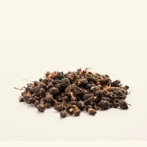 Cypriol Oil (Nagarmotha Oil)