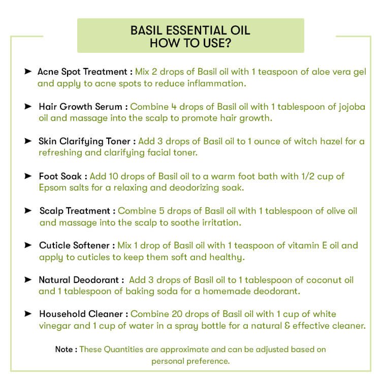 Sweet Basil - Image 4