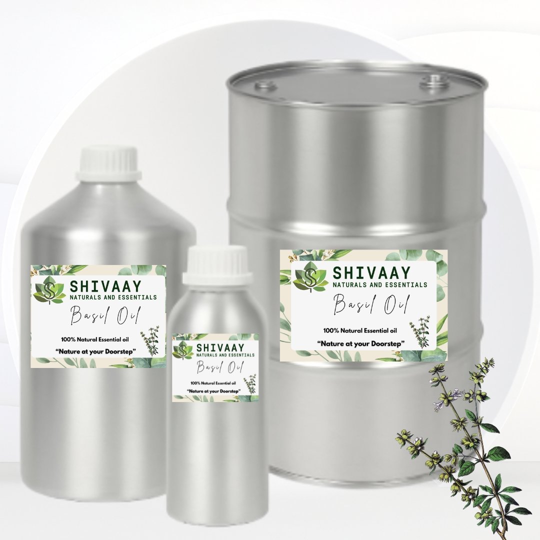 Sweet Basil - Image 2