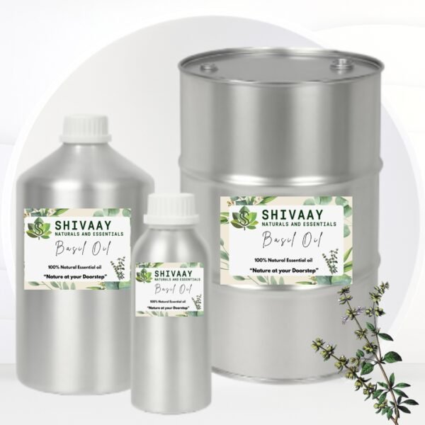 Basil Oil