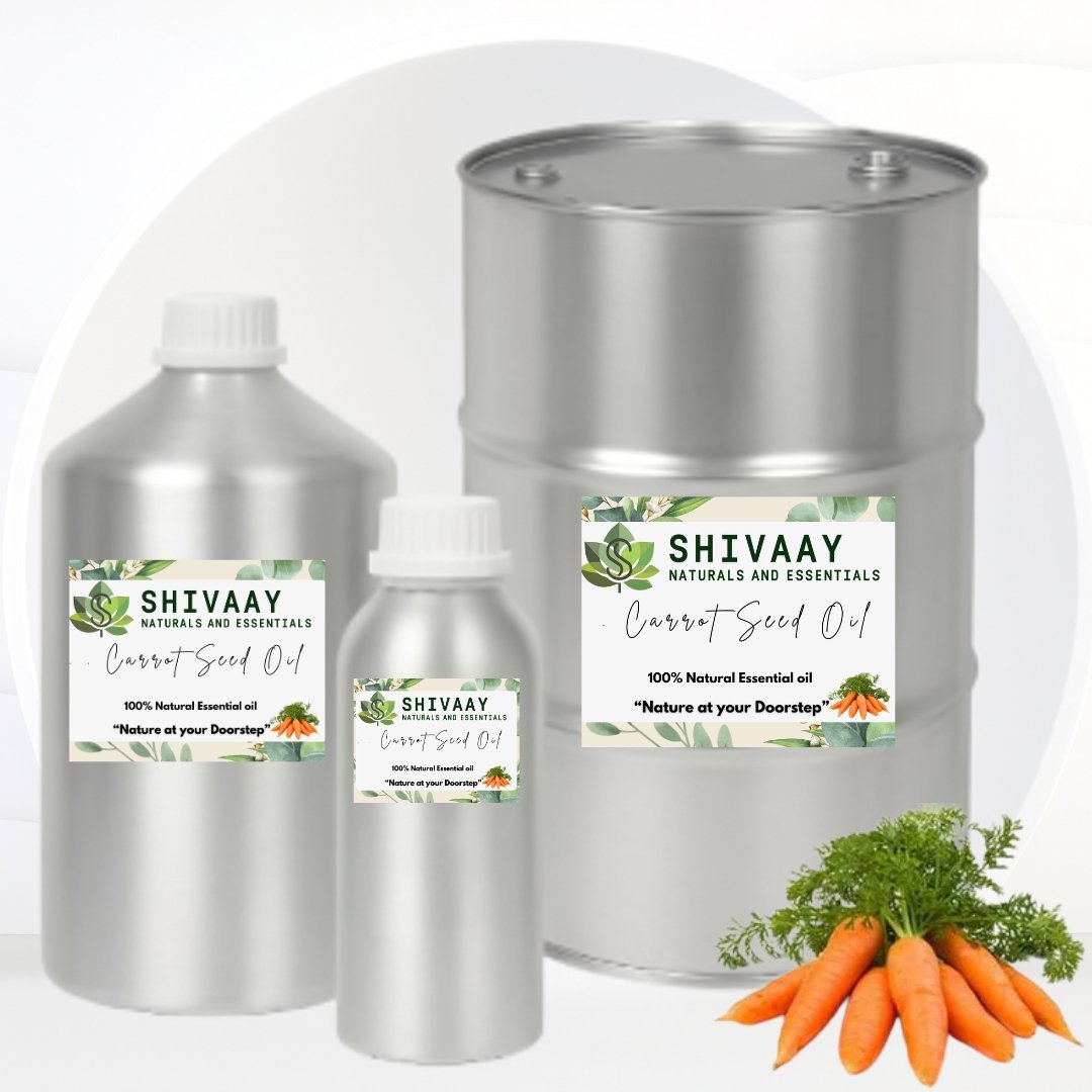 Carrot Seed Oil - Image 2
