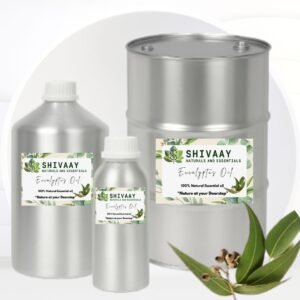 Eucalyptus Oil