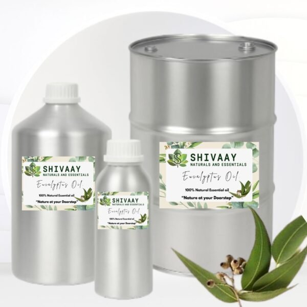 Eucalyptus Oil