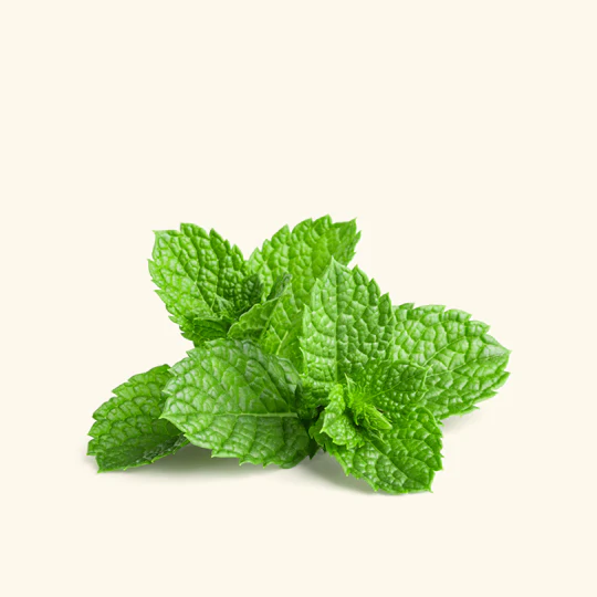 Peppermint Oil