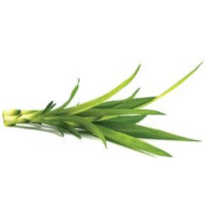 Kewda Jal (Kewra Water – Organic)