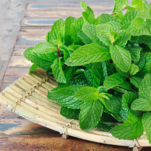 Panch Pushpa Jal (Five Flower Water – Organic)